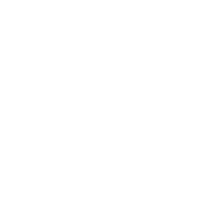 Giới thiệu 1 visions